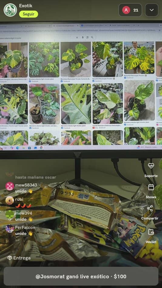 Sobres Pokémon TCG