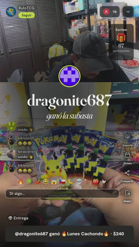 Pokémon 30th Celebration Binder Collection