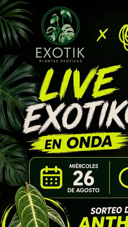 La boloñesa exótica