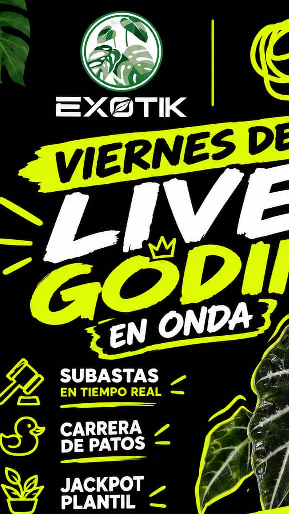Love Godin