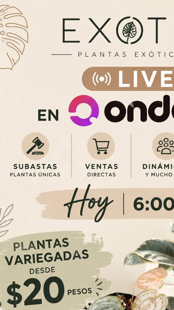 plantas exóticas desde 20 pesos