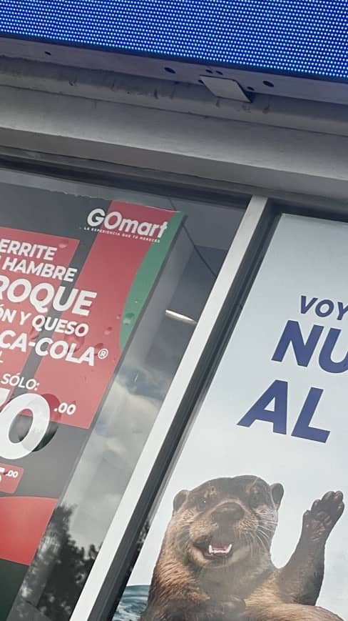 ruleta e información de la rifa semanal