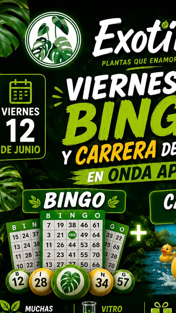 Bingo Exótico 