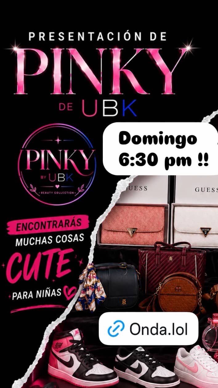 BOLSAS/COSMETICOS/SNKRS/ROPA FEMENINA