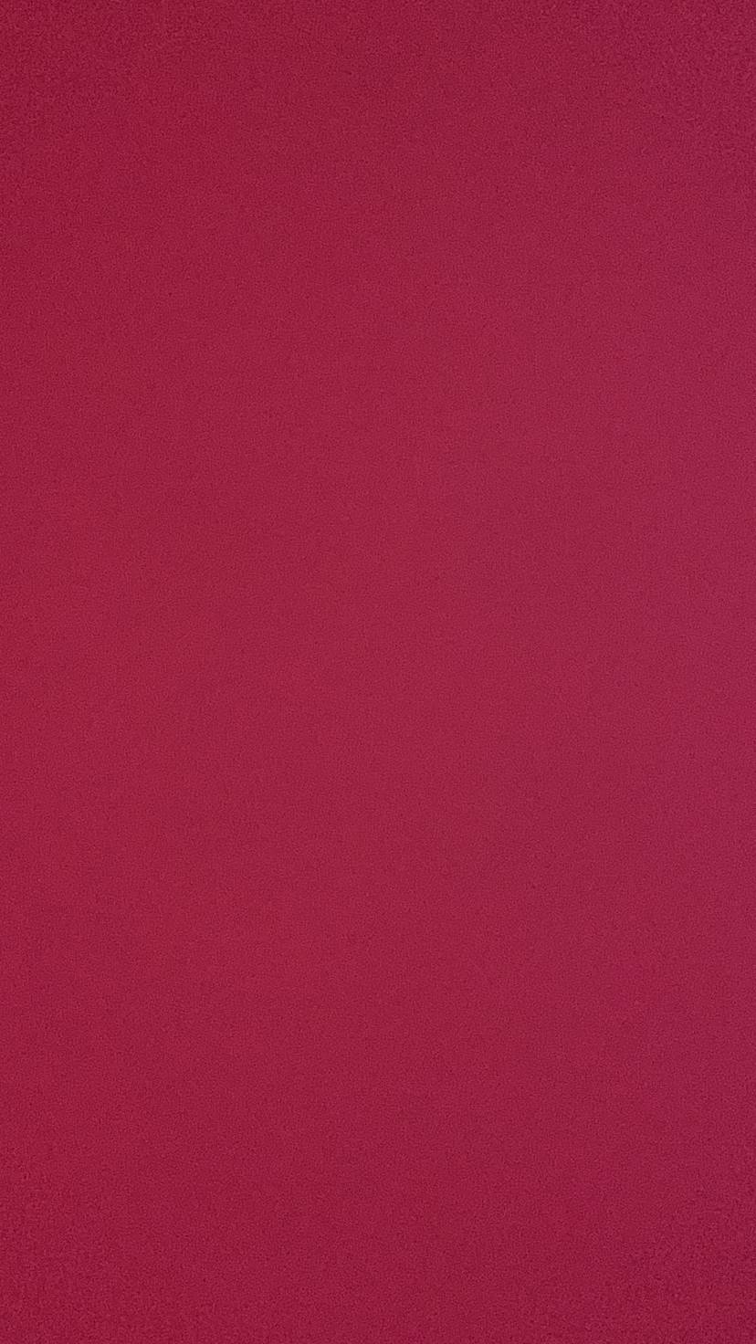 PRUEBA TEST