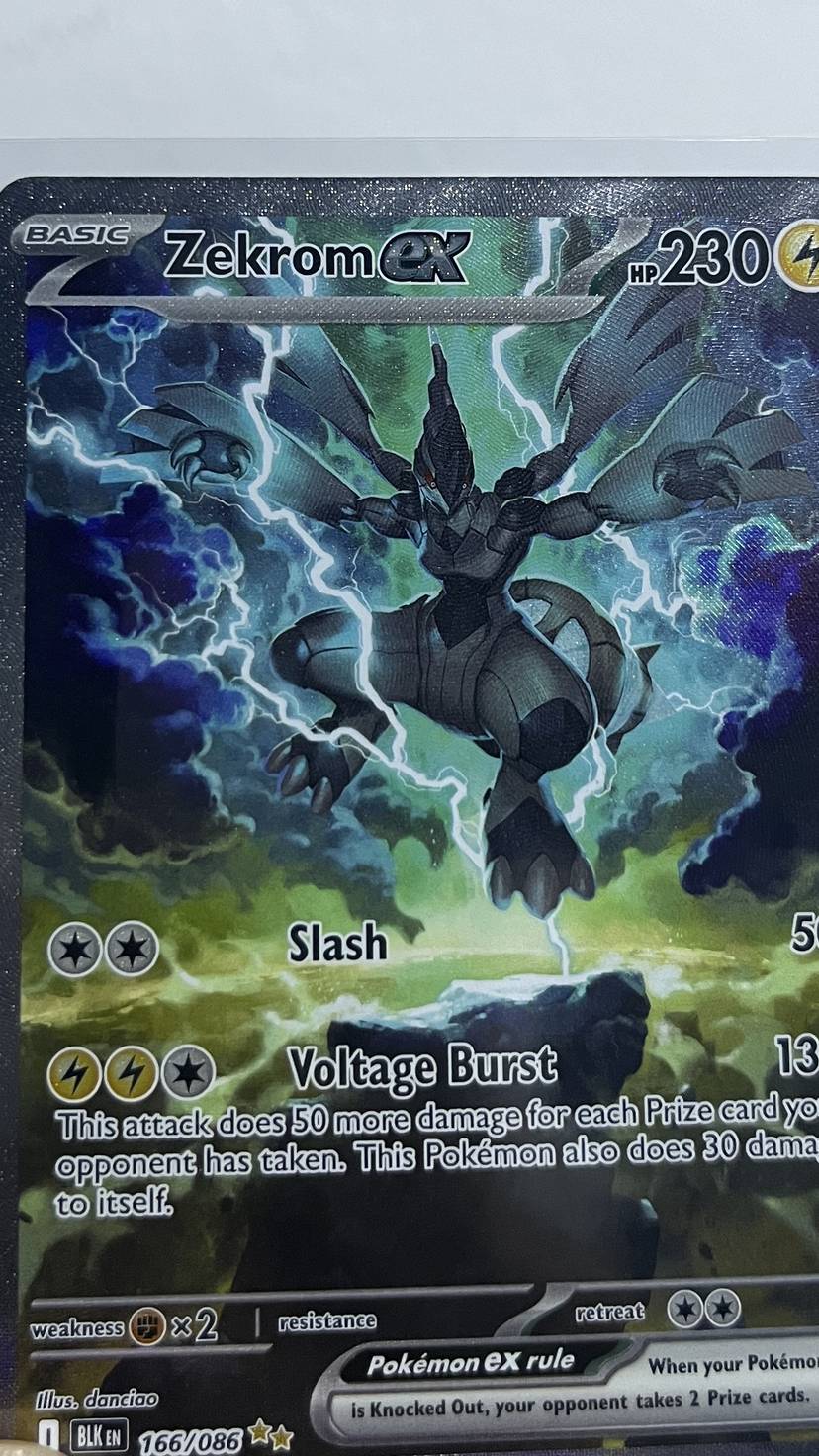 PITCH BLACK LLEGÓ + ZEKROM GRATIS