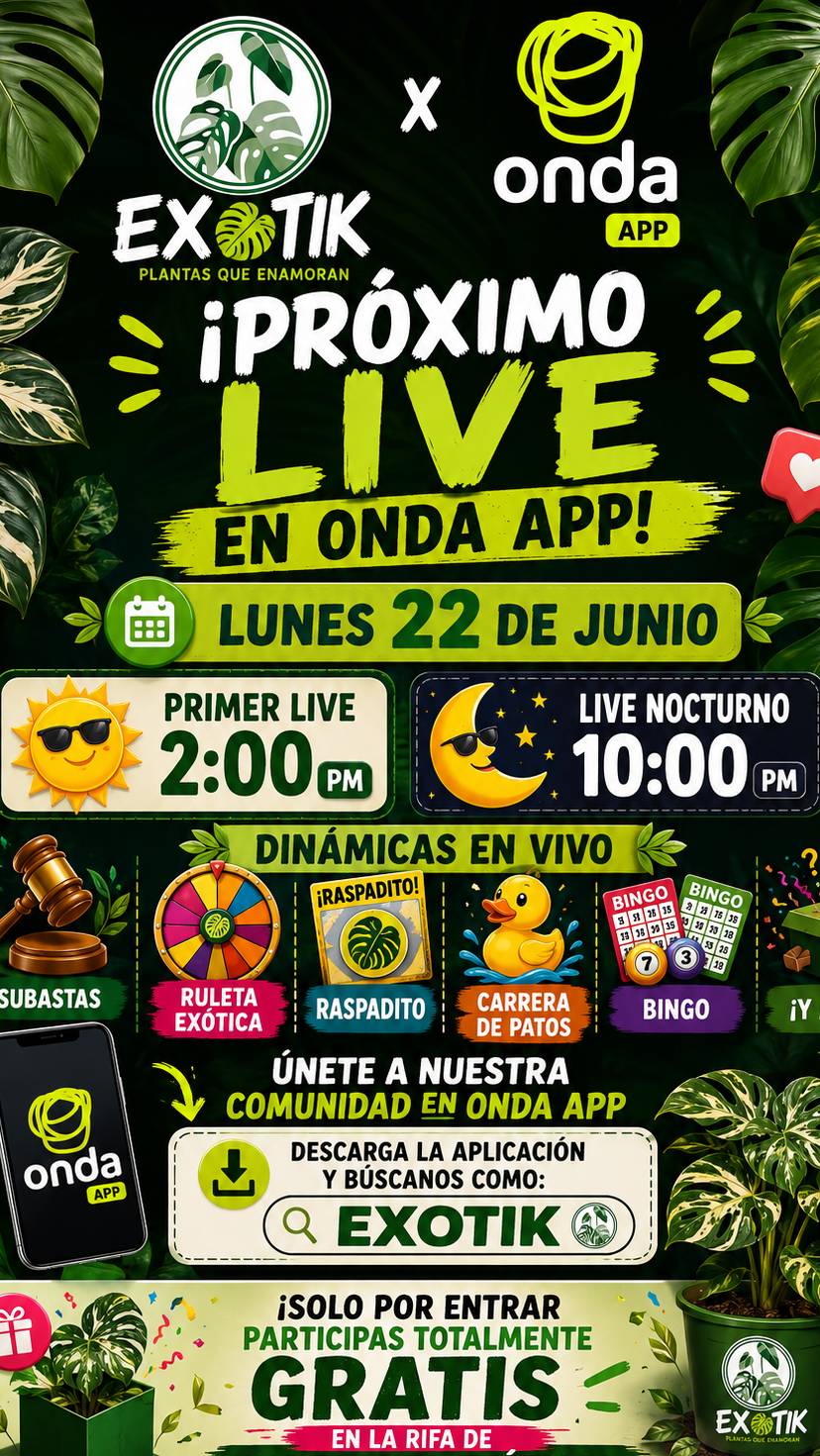 live exótico 