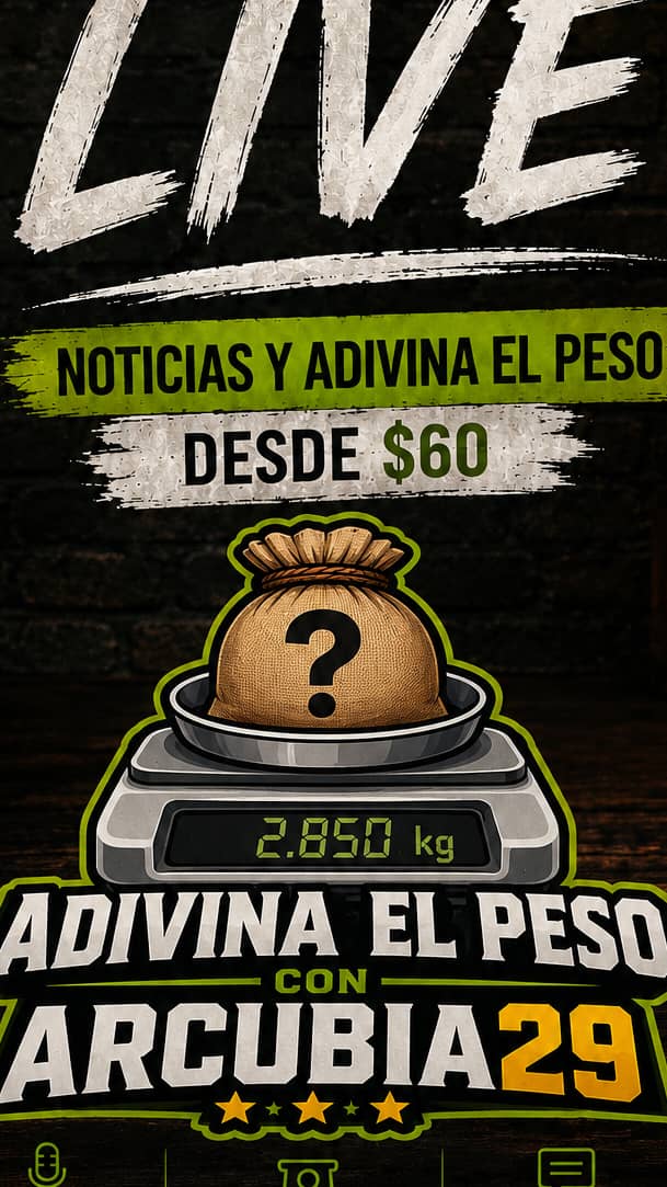 Smash Bros batallas con arcubia 29