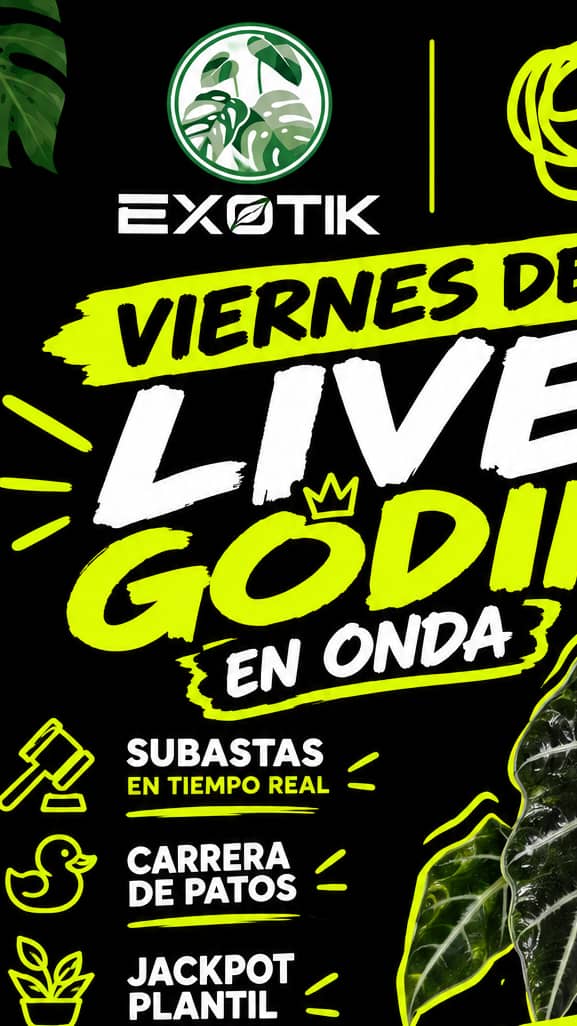 live Godin exotiko