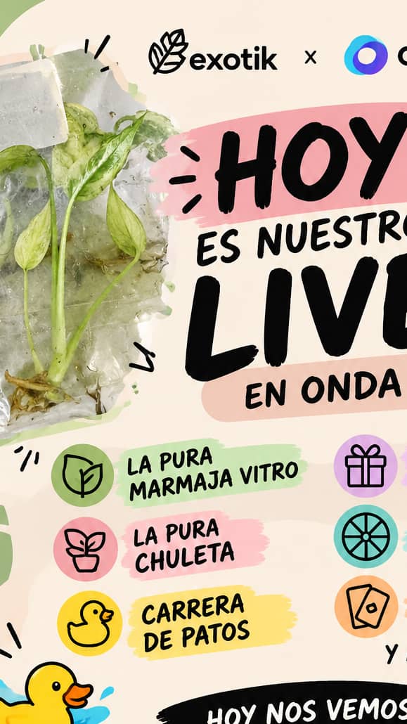 Show Poster