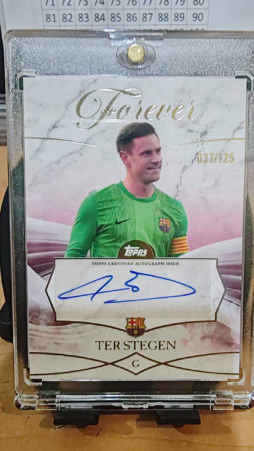 TER STEGEN EN 40