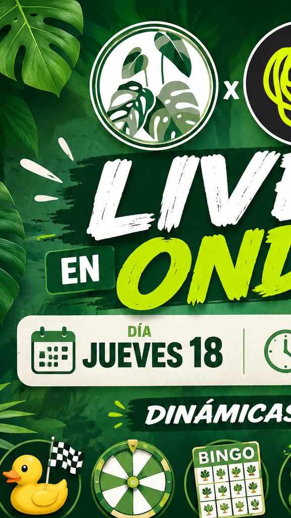 venta pre partido