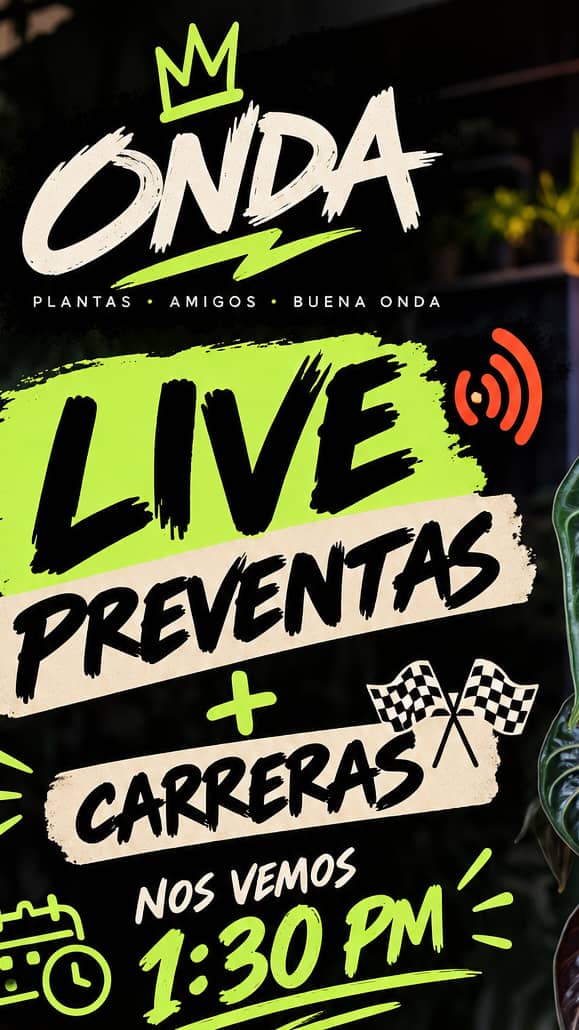 Show Poster