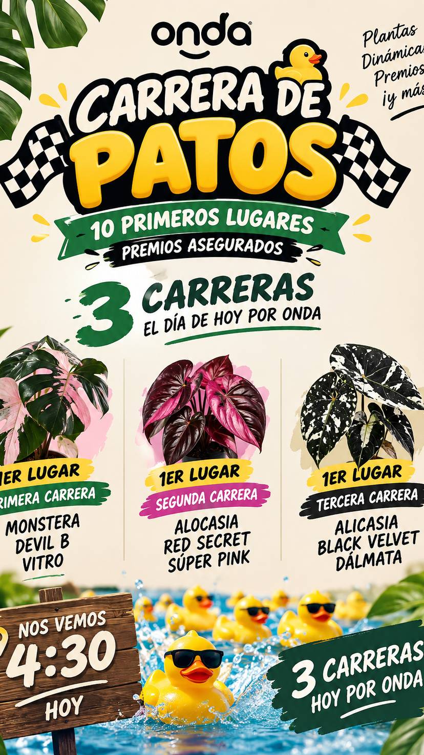 carreras de paros súper cargadas 