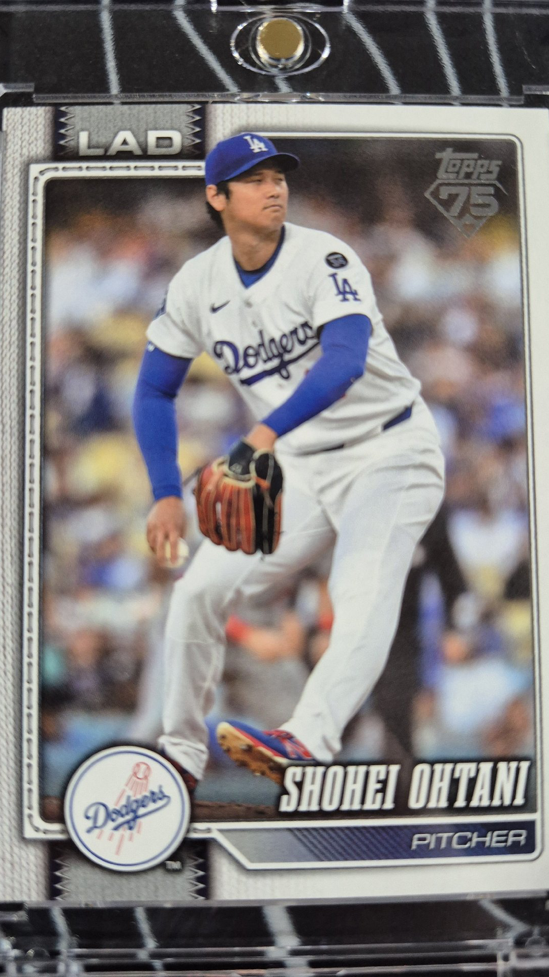 Shohei Othani

Participa haciendo 1 compra