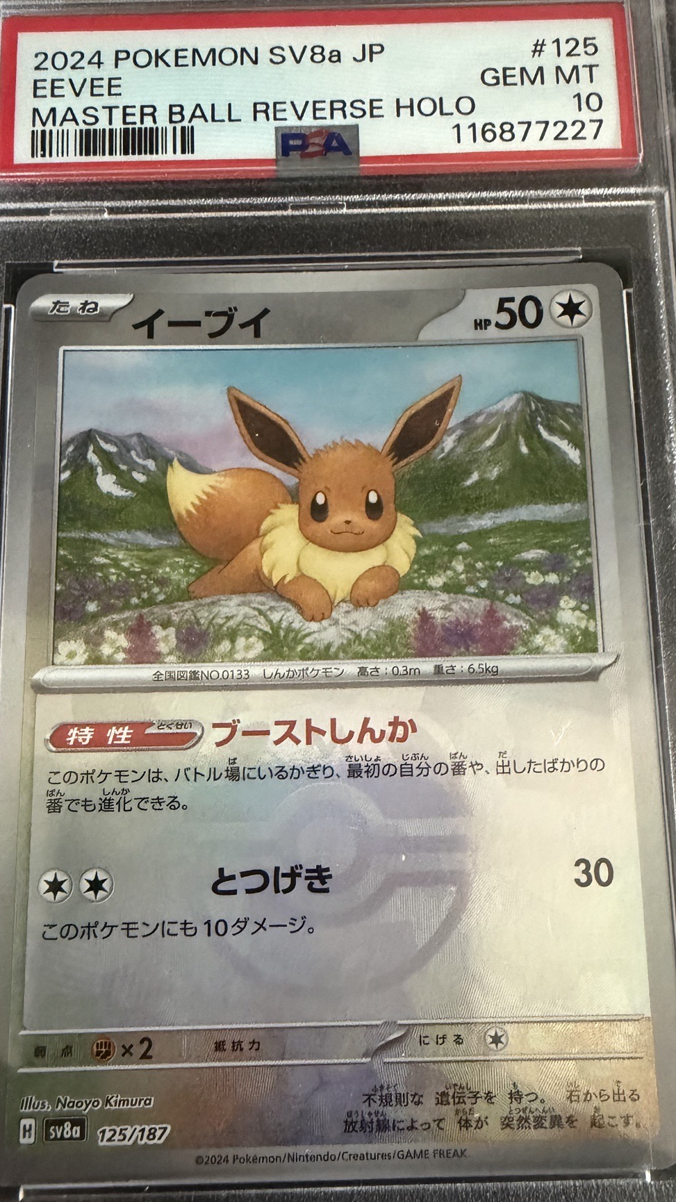 eevee psa 10!!