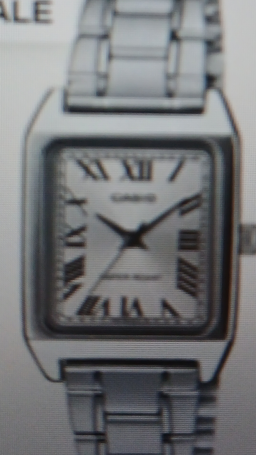 casio pirata