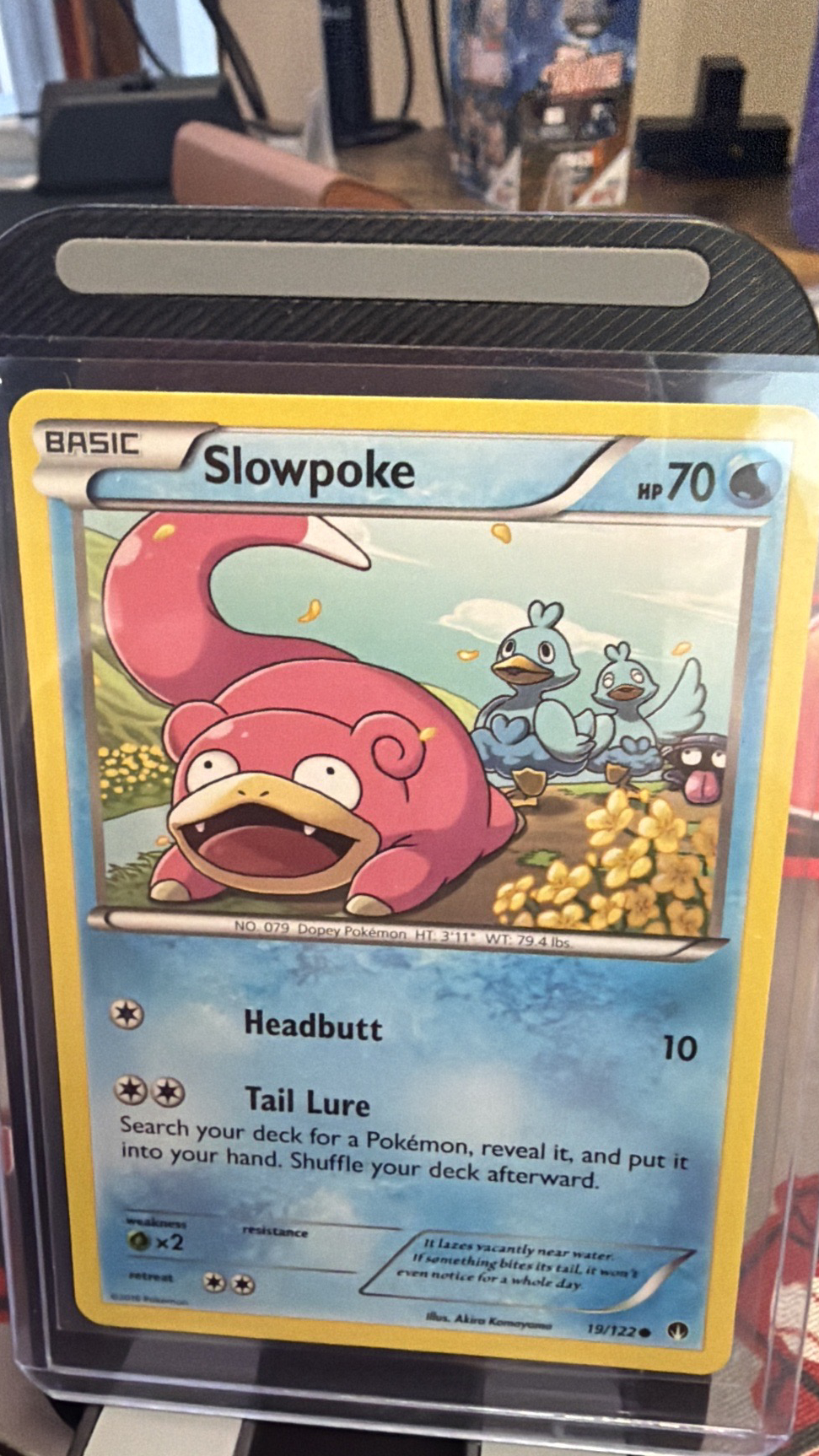 slowpoke Evo