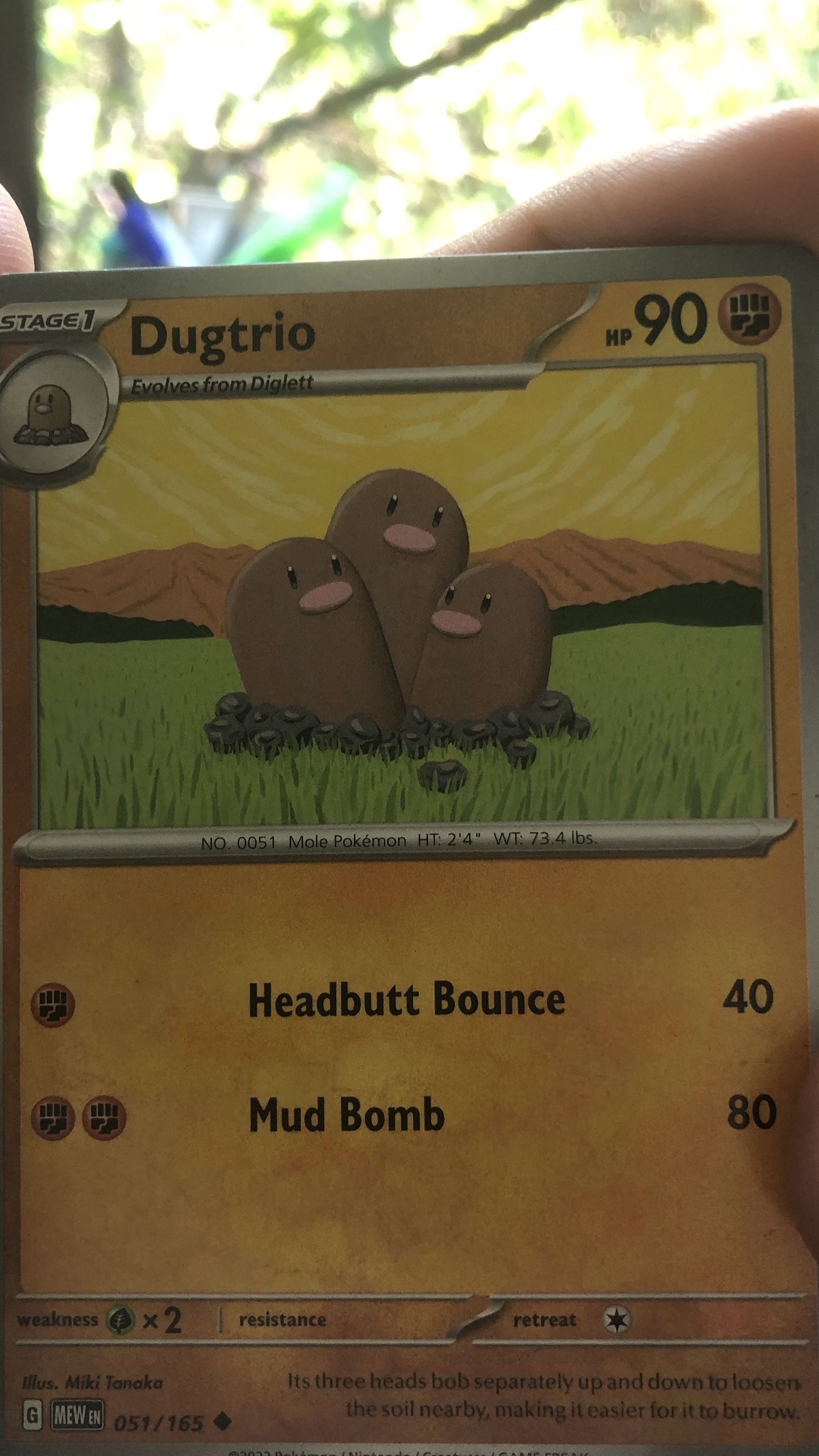 dugtrio