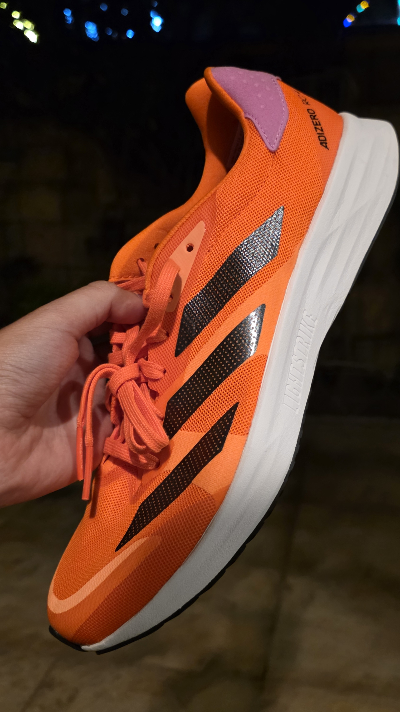 29.5mx regalo de tavo