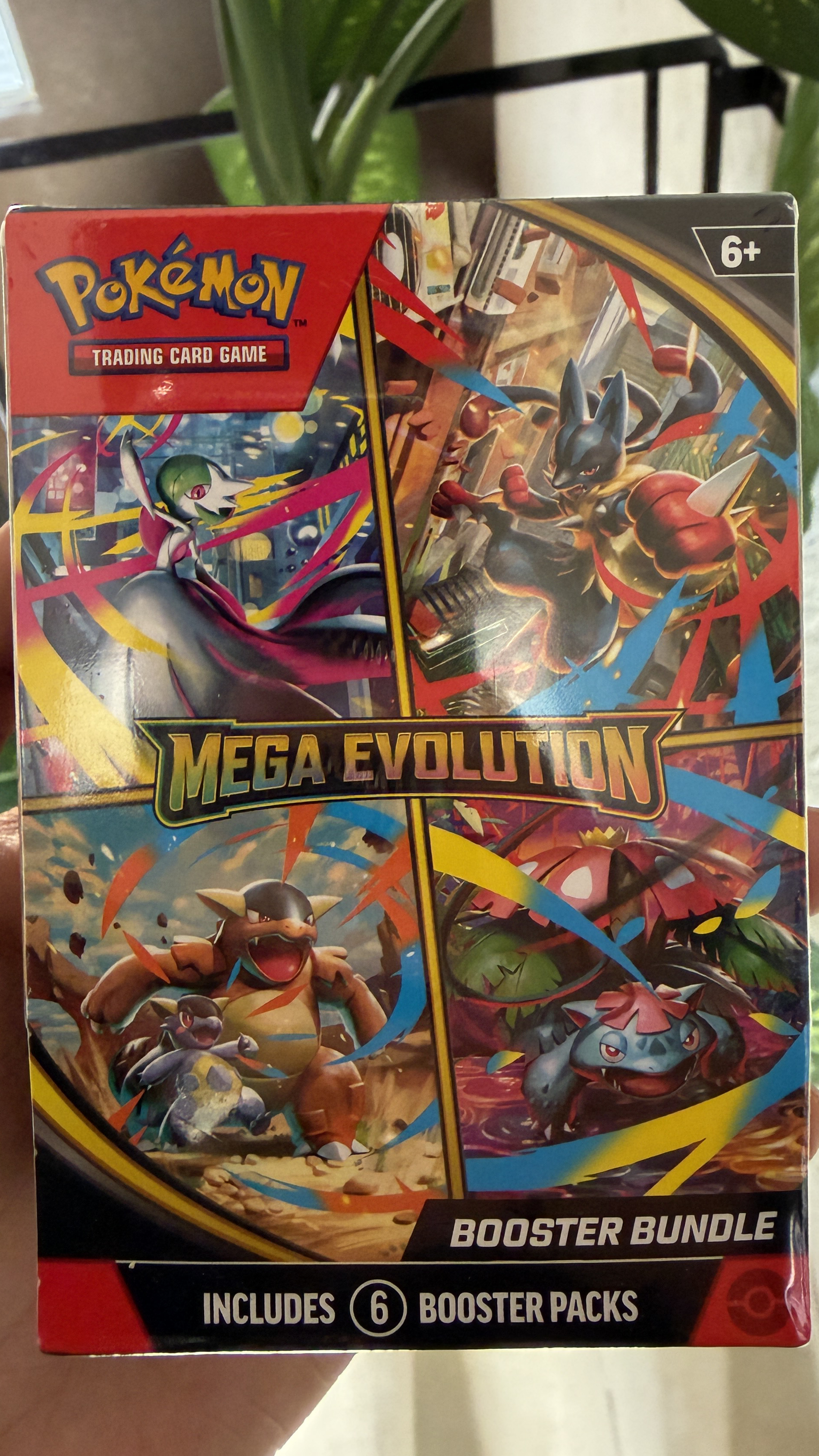 Pokémon TCG Mega Evolution Bundle
