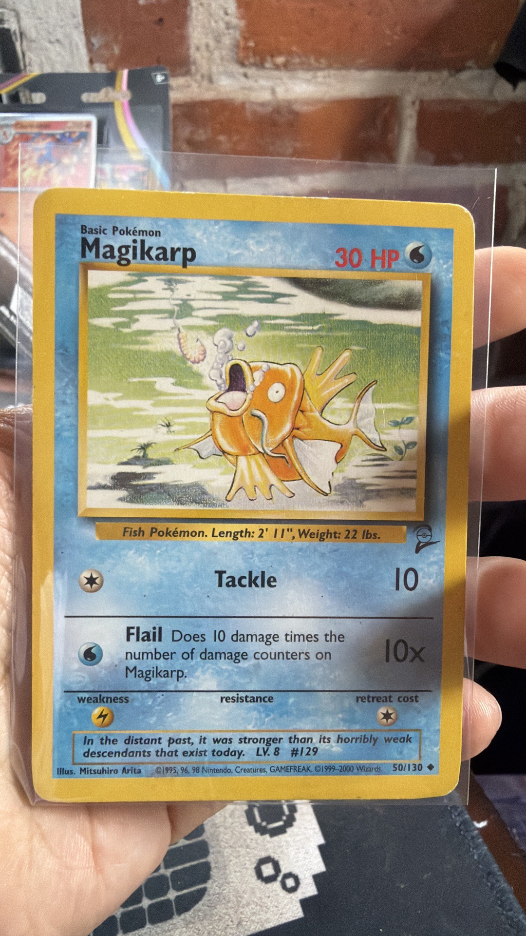Magikarp Vintage