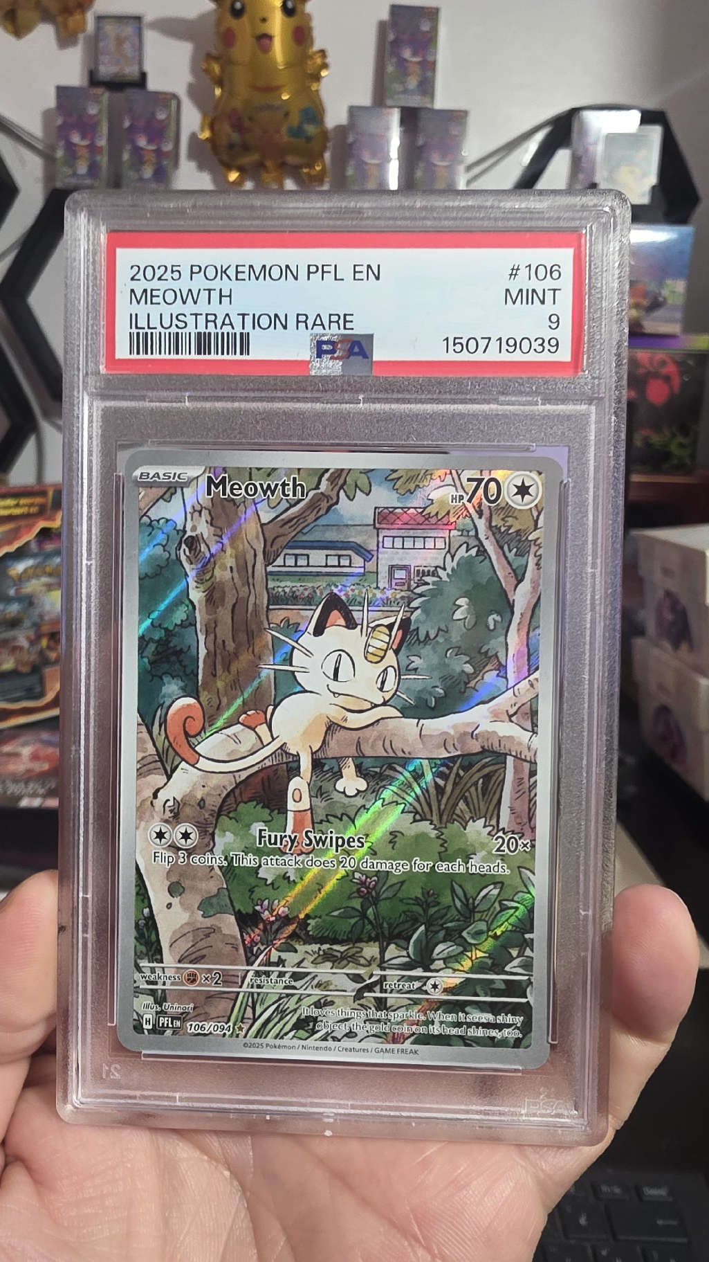 meowth PSA 🔥🎁