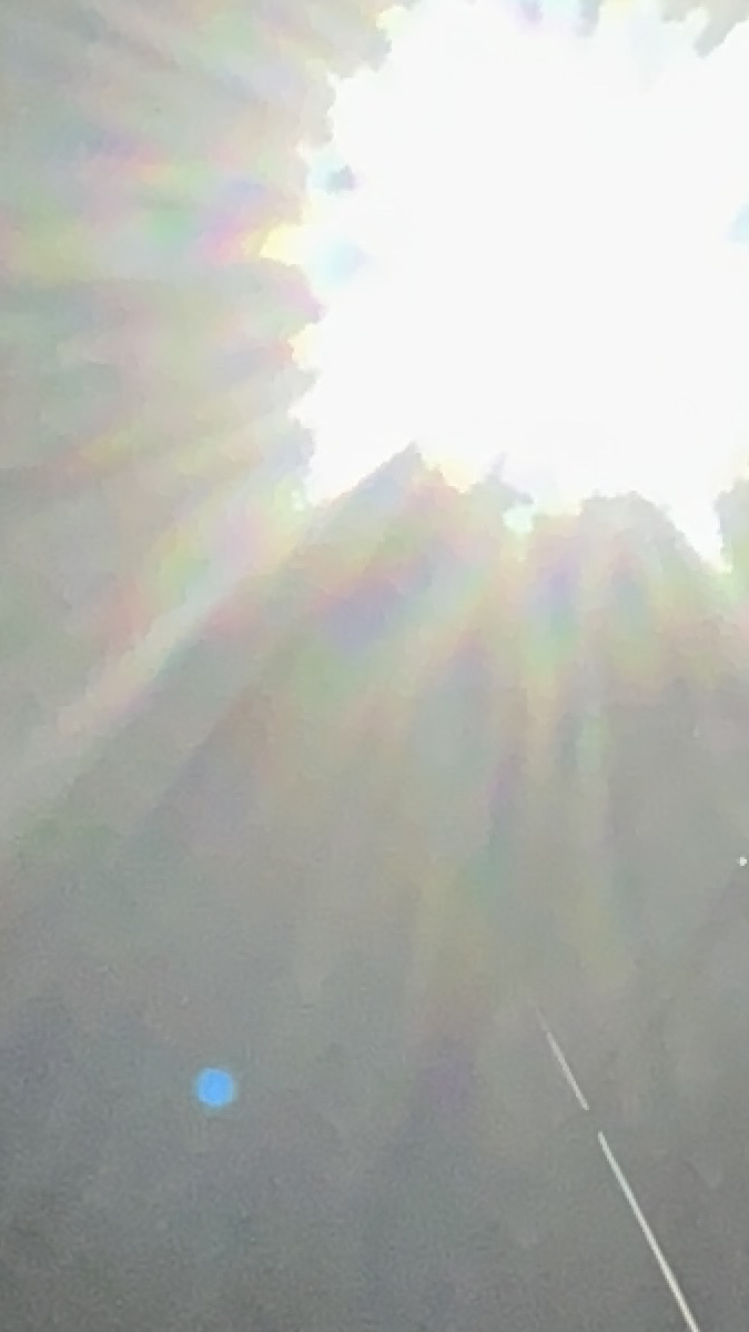 rifa