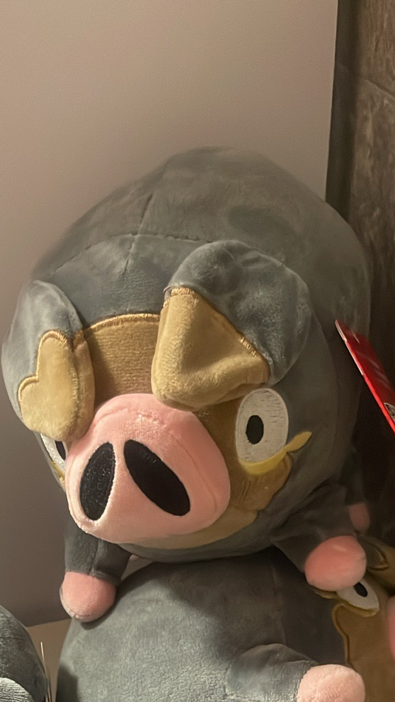 Último cerdito pokemon !!!