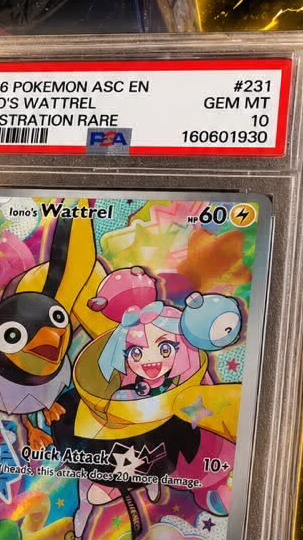 BB