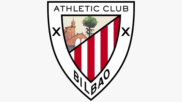 Artículo 29