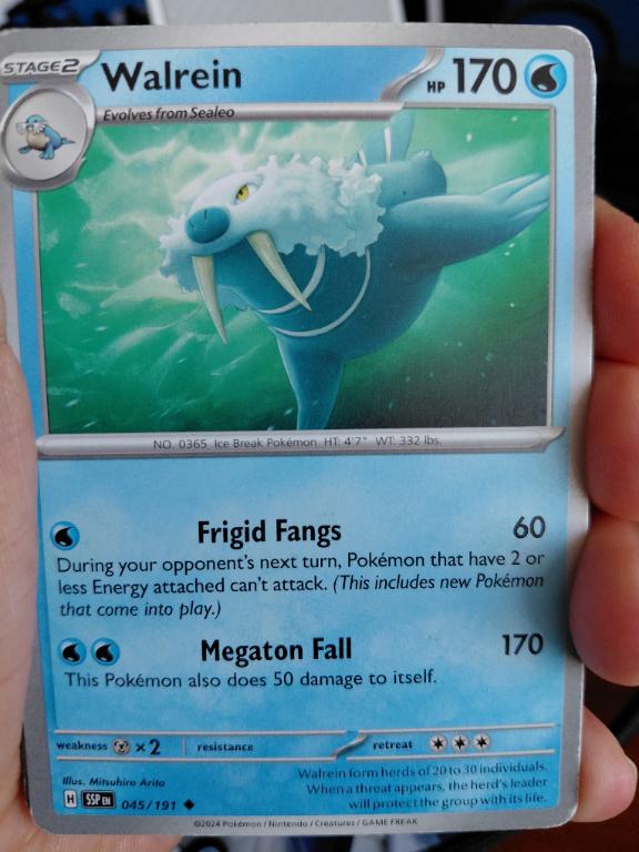 Foca