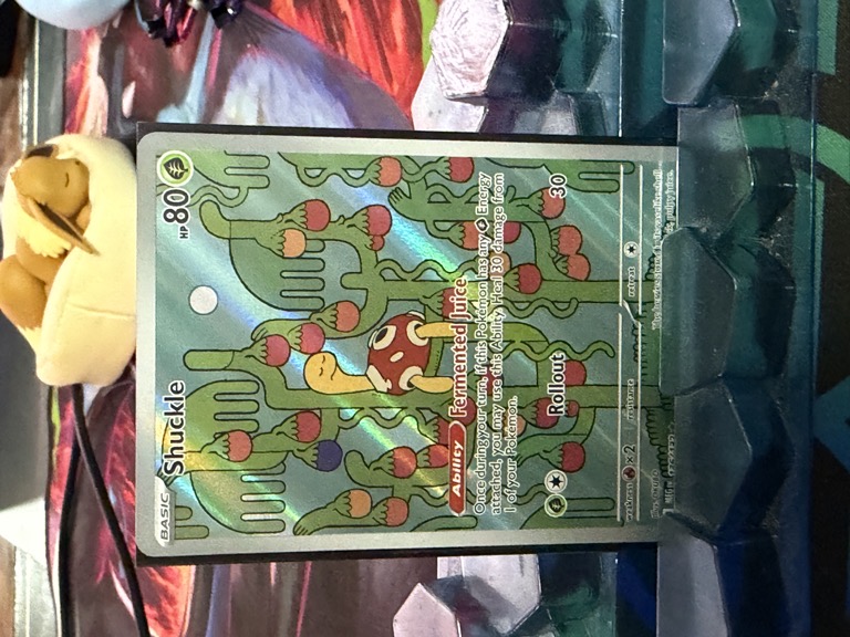 Artículo 5