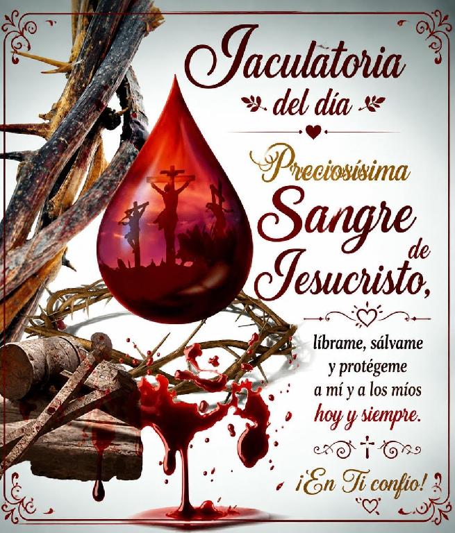 Artículo 2