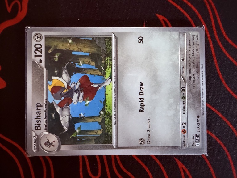 Artículo 37