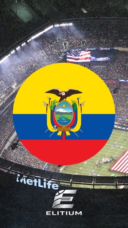 Artículo 29