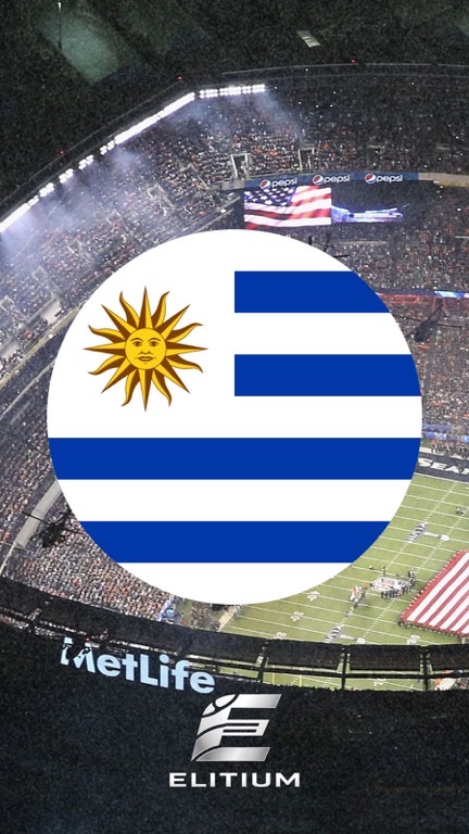 Artículo 17