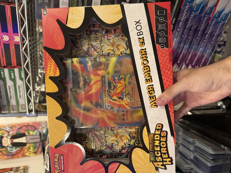 Artículo 8