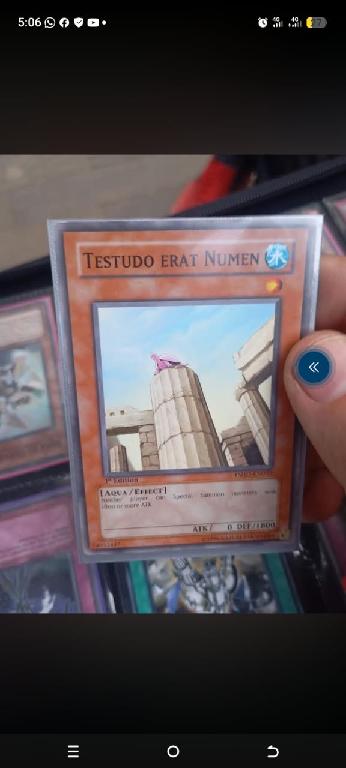 Artículo 1