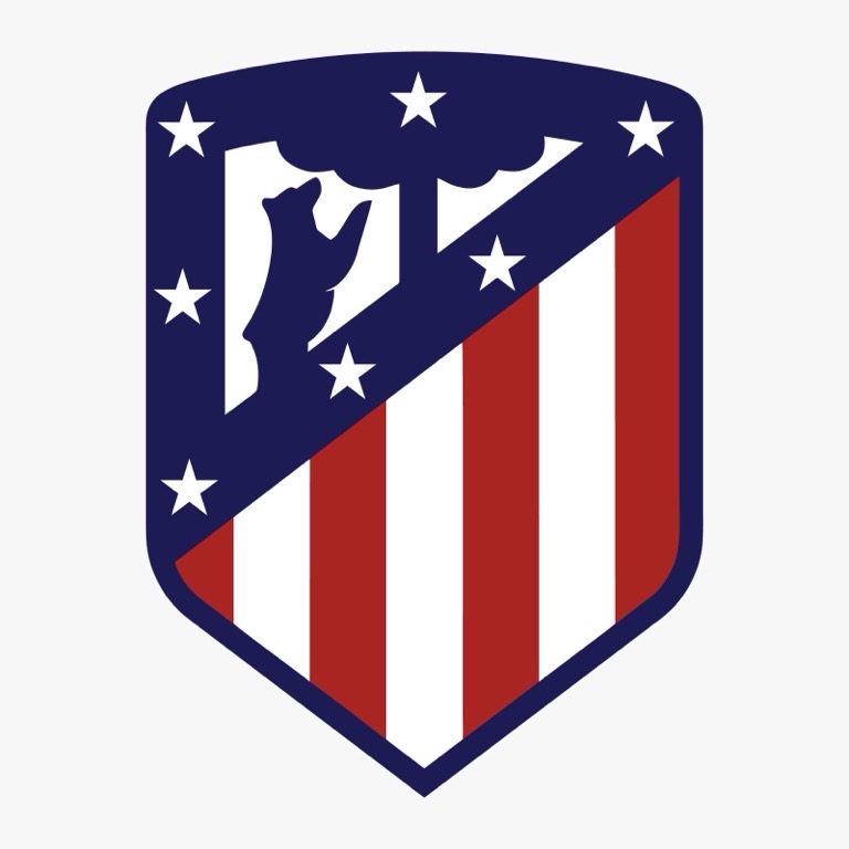Artículo 28