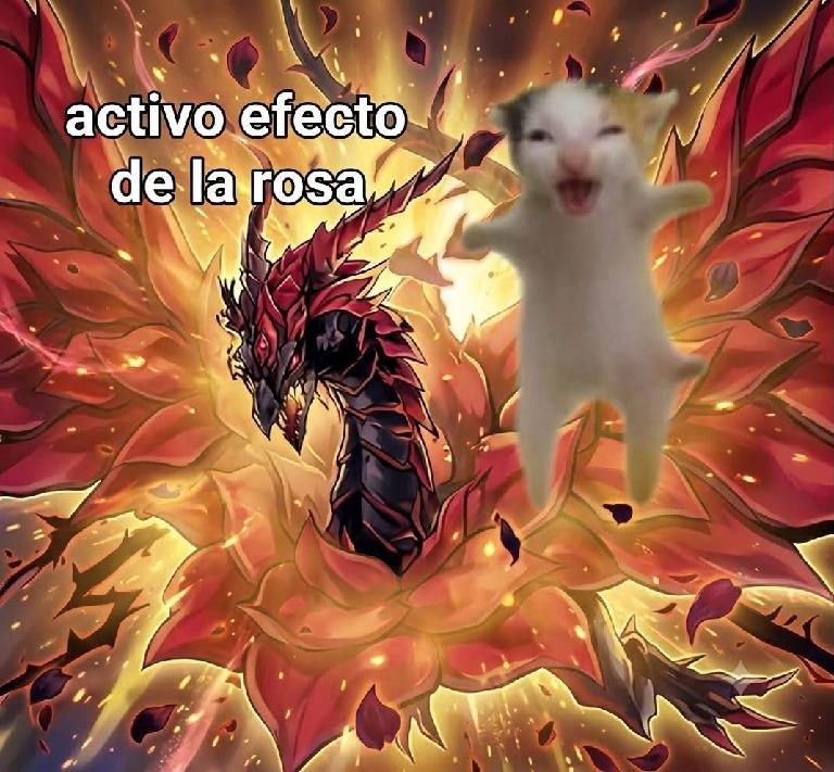 Artículo 2