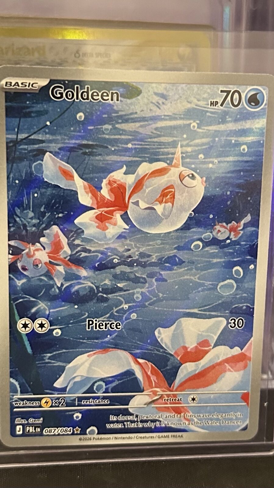 Goldeen Illustration Rare