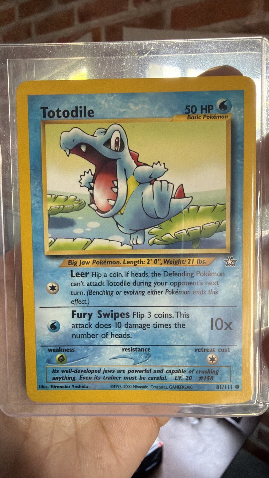 Totodile Vintage