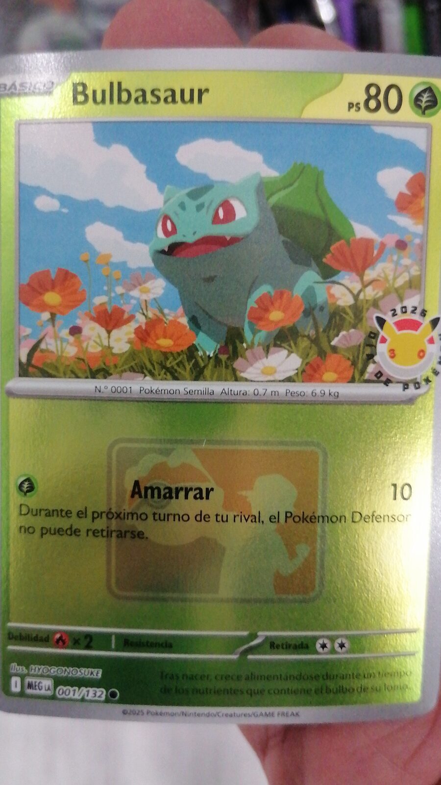 carta de pokeday en español