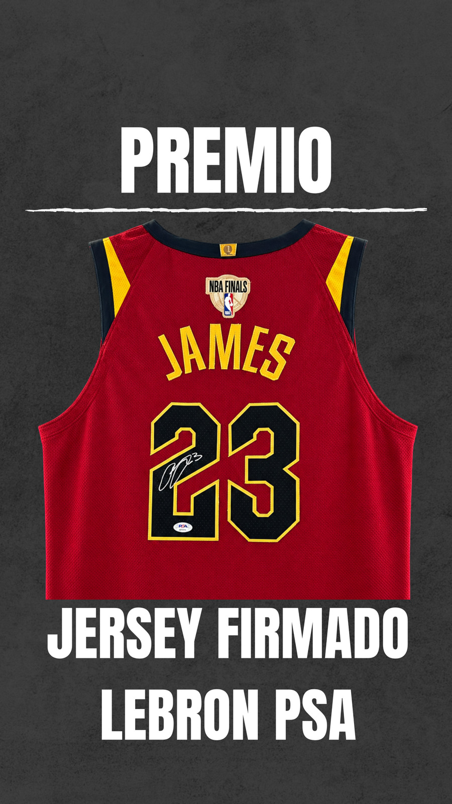 Jersey firmado de LeBron James
