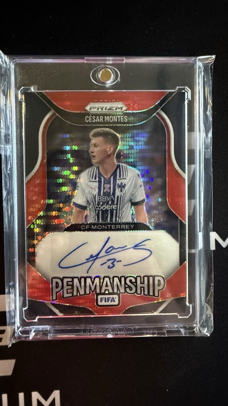 CESAR MONTES AUTO