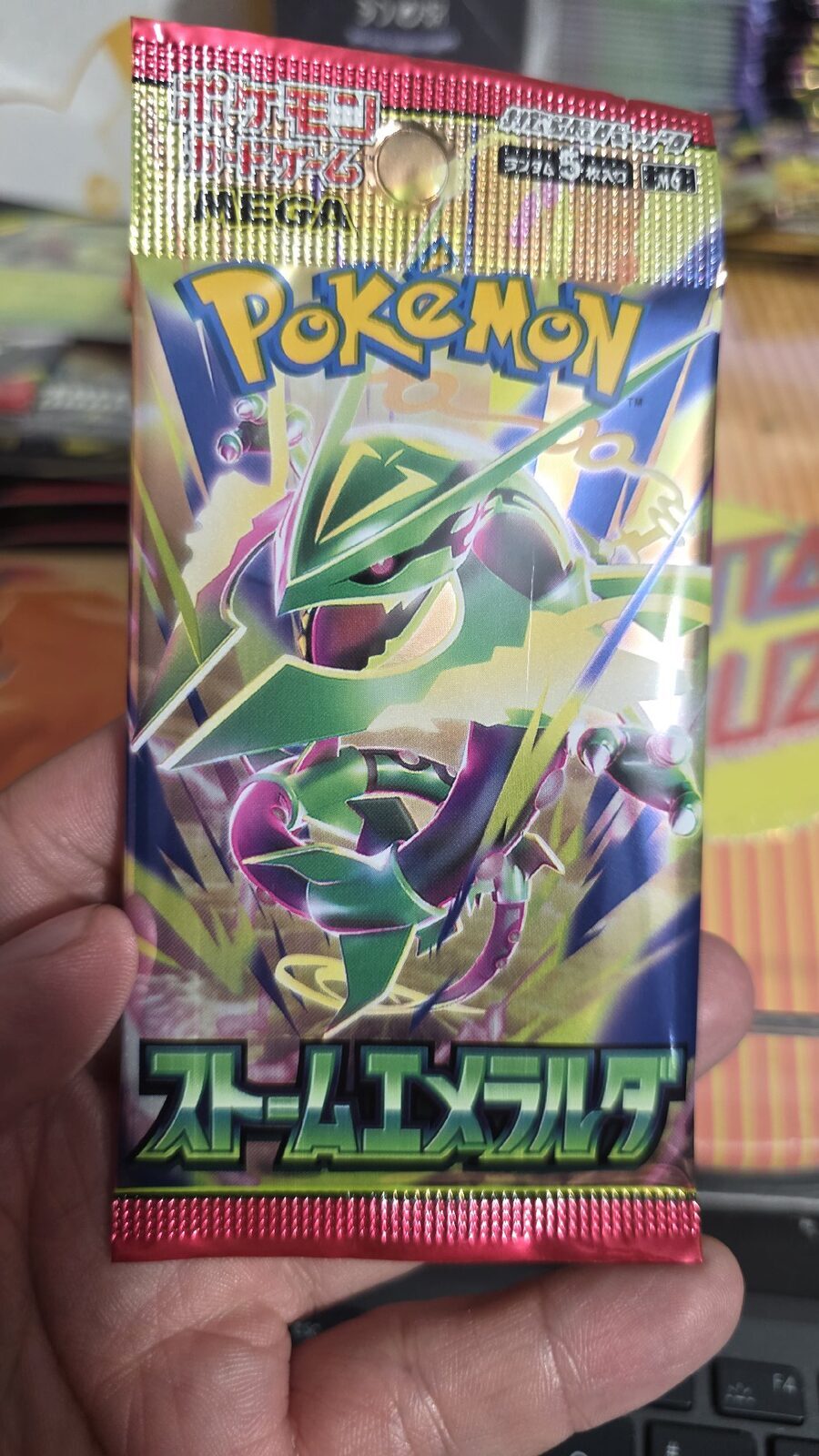 sobre rayquaza