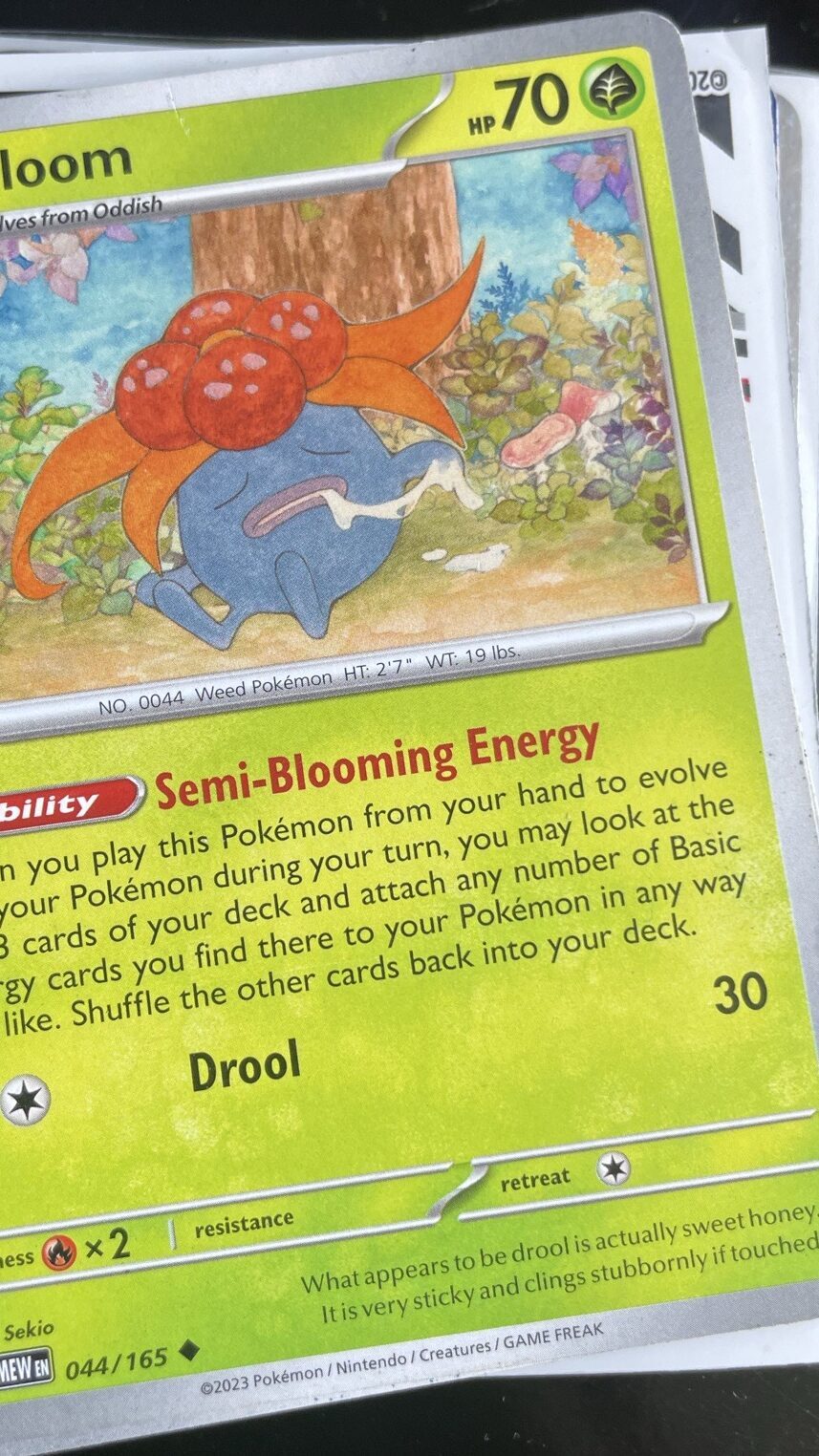 bloom