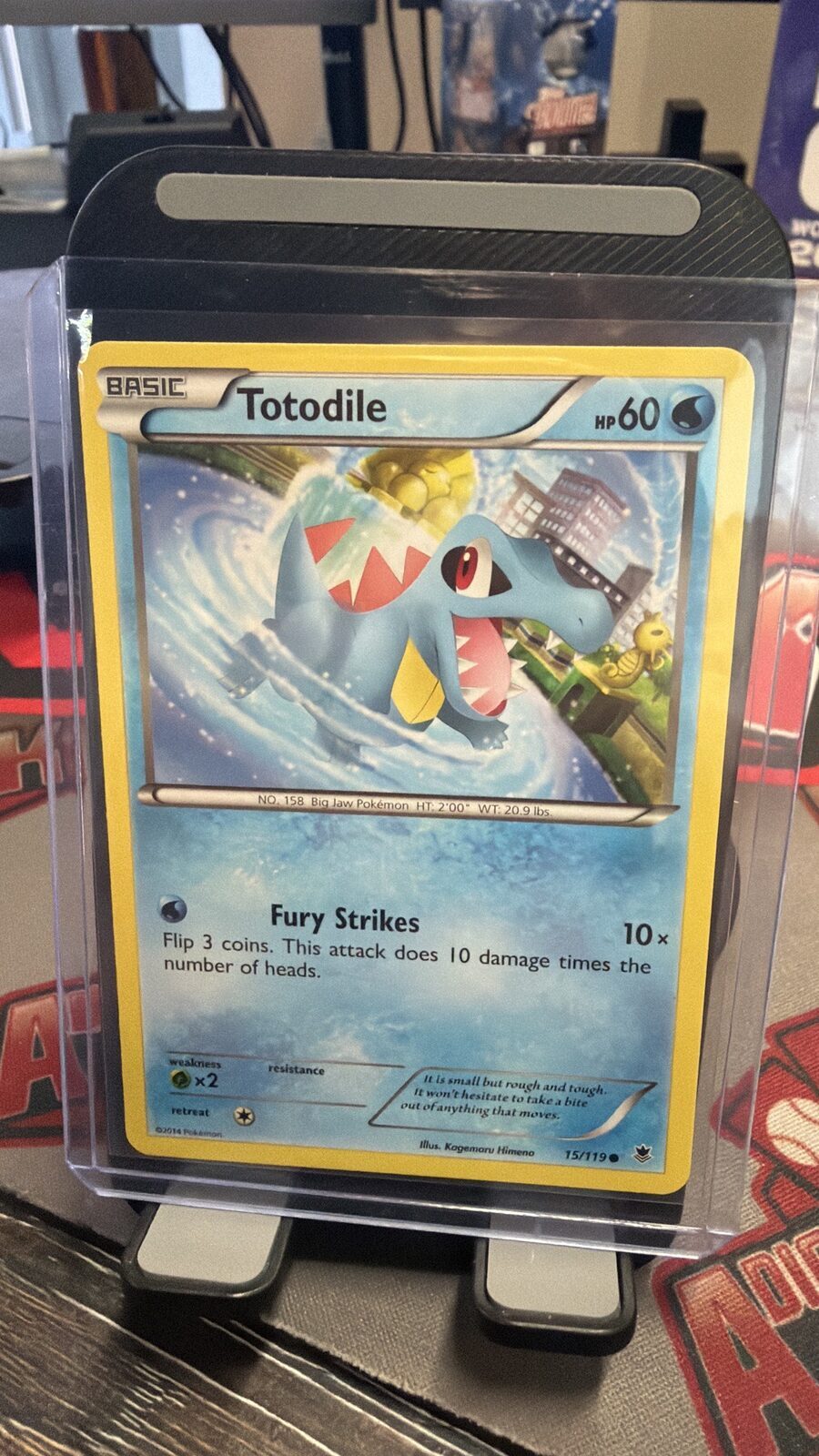 Totodile evo