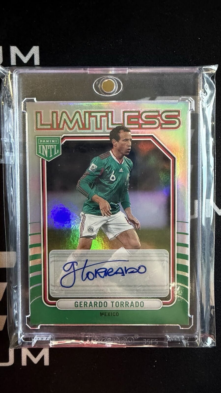 GERARDO TORRADO AUTO